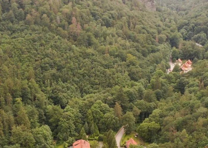 Ferienhaeuser Am Brocken, 80 Qm 3 Schlafzimmer
